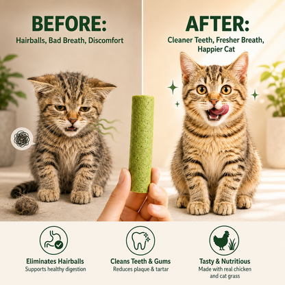 Freeze-Dried Cat Grass Dental Chew Sticks