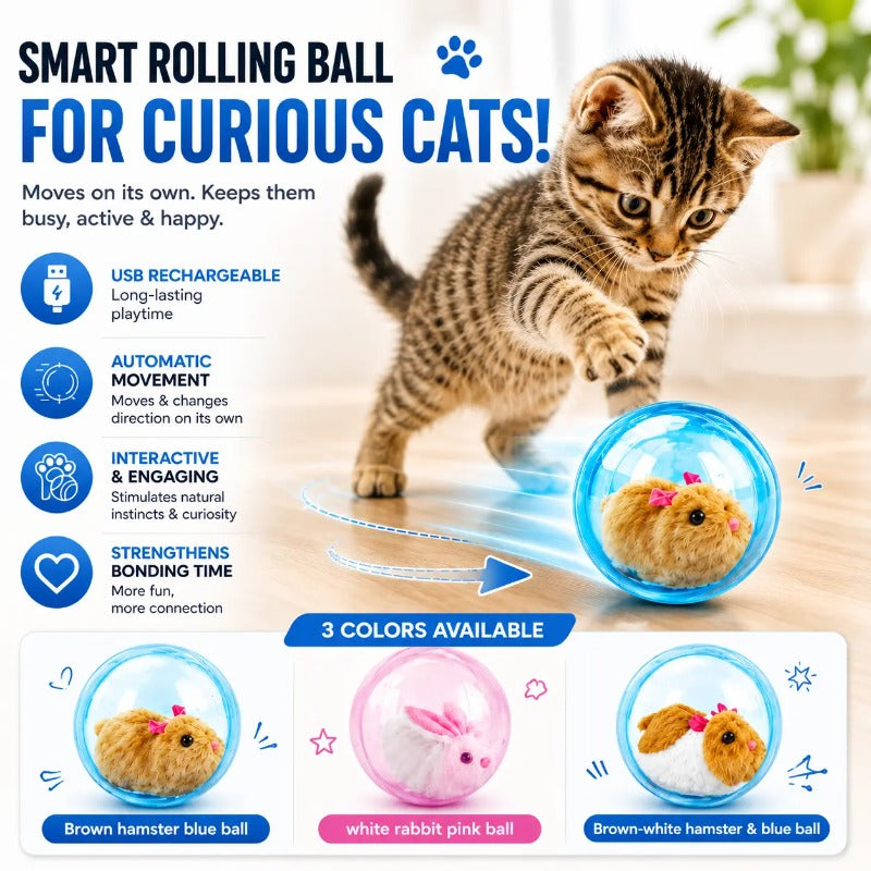 Blue Ball + Brown Mouse