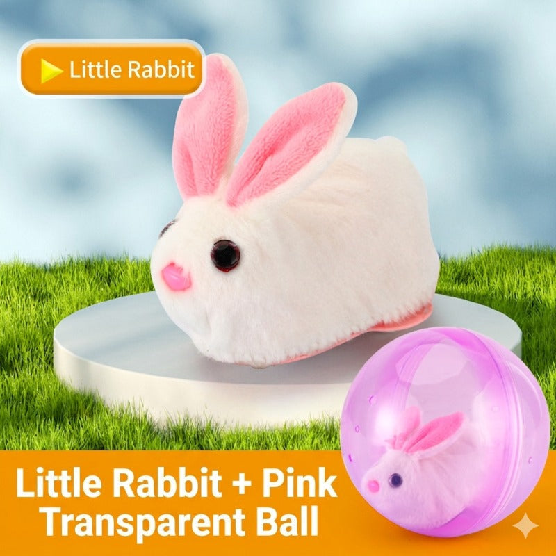 Pink Ball + White Rabbit